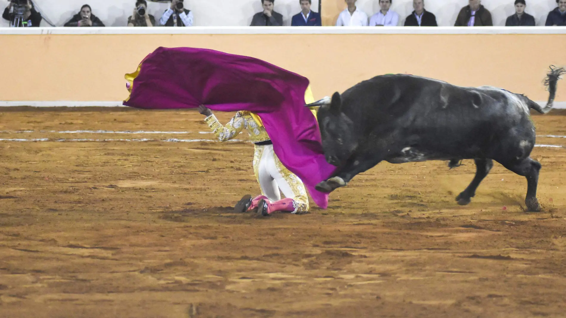 DEP Toros